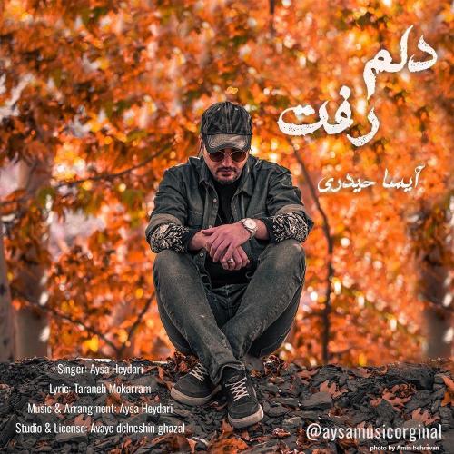 آیسا حیدری دلم رفت